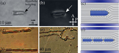 Microbullet assembly: interactions of oriented dipoles in confined nematic liquid crystal